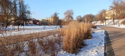 В последний день зимы рязанцам пообещали 2 градуса тепла