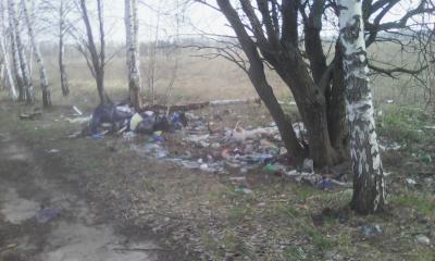 Активисты ОНФ в Рязанской области добились ликвидации ещё 10 несанкционированных свалок