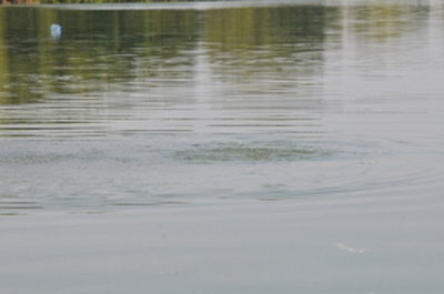 Под Спасском возобновили движение по понтонному мосту