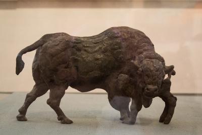 Рязанцы могут увидеть бронзовых зверей и диковинных рыб