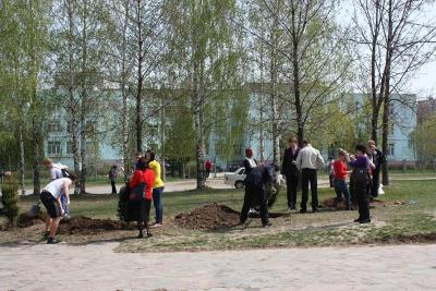 В сквере Скобелева высажена аллея выпускников 