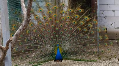 фото сайта ИД «Пресса»