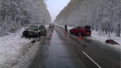 Неподготовленные к зиме московские иномарки столкнулись в Рязанской области