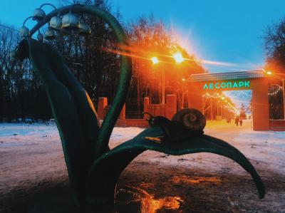 В рязанском Лесопарке установили арт-объекты