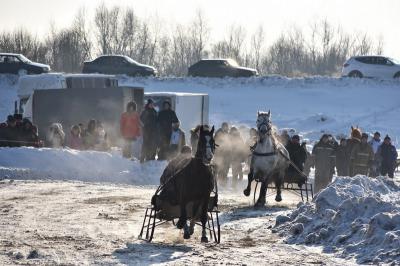Фото: ИД «Пресса»