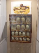 1000053331.jpg title=