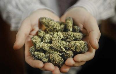 Служебная собака нашла у касимовца тайник с наркотиками