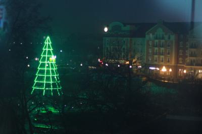 В новогодние праздники Лыбедский бульвар заполнят альтернативные ёлки