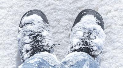 Фото: ИД «Пресса»