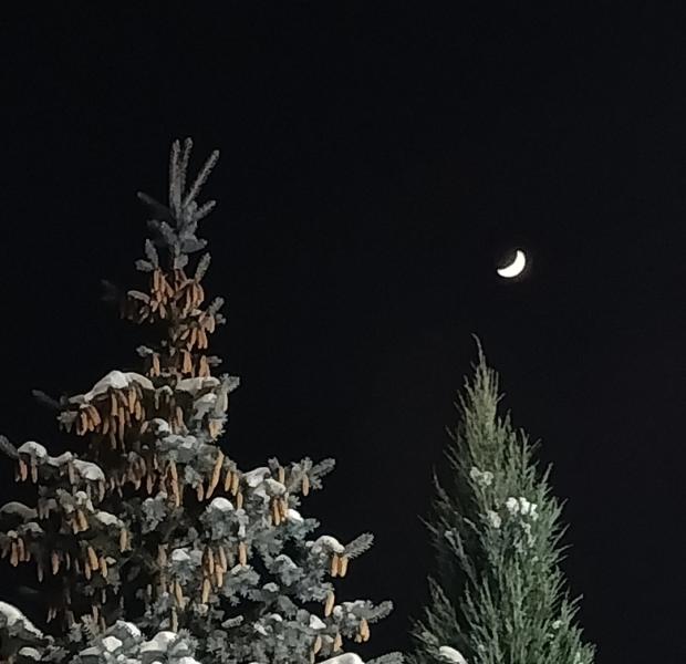 Рязанцев предупредили о сильных морозах