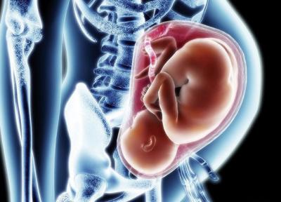 Рязанские врачи обсуждают вопросы репродуктивной медицины в Москве