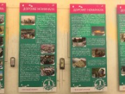 Image00019.JPG title=