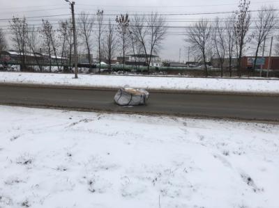 На проезжей части улицы Зубковой «потеряли» большую сумку
