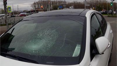 Сбитым на улице Мервинской пешеходом оказался подросток