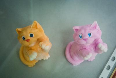 В Рязанском центре народного творчества поселились кошки