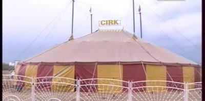 Ростовский цирк демонстрирует в Рязани цирковую классику