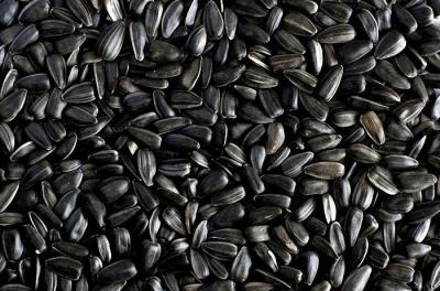 У сараевского фермера за долги изъяли 22 тонны семян подсолнечника