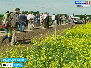На полях Рязанщины внедряются европейские технологии
