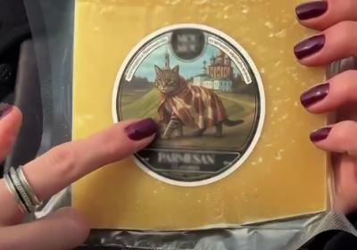 Туристам предложили сувениры с котиками на фоне рязанских красот