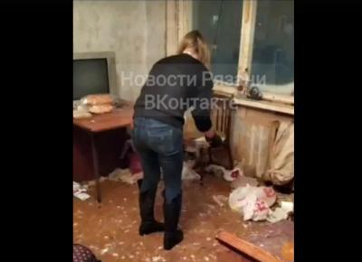 Кошек из квартиры пожилой рязанки отправили в приют