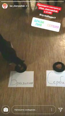 Сбылось очередное предсказание рязанской кошки