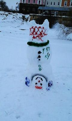 Начался приём заявок на конкурс «Снежная баба 2018» города Рязани