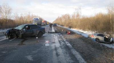 В ДТП на рязанском участке М5 погибли молдаванин и жительница Пензенской области 