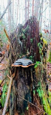 В субботу в Рязанской области потеплеет до 10 градусов