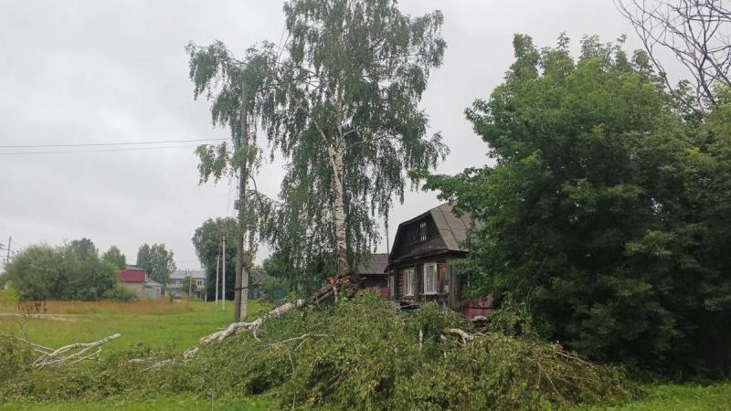 Из-за сильного ветра несколько сёл Кадомского округа остались без света