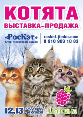 Рязанцев приглашают на выставку-продажу котят