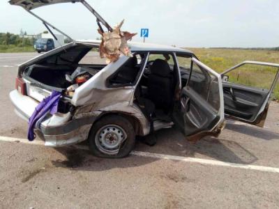 Близ Скопина «четырнадцатая» не уступила «Ладе-Приоре», пострадал ребёнок