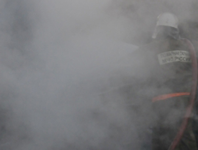 На пожаре под Ряжском пострадал человек