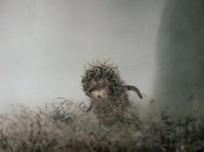 В Рязанской области объявлено метеопредупреждение