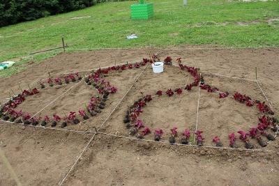 В Канищево расцвели золотые рязанские купола