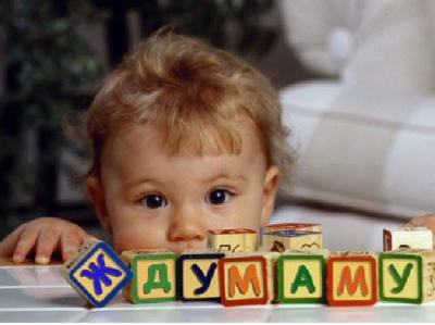 В Рязанскую область прилетят аисты