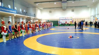 Рязанские борцы завоевали медали первенства ЦФО