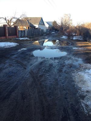 Жители Солотчи внесли предложение в бюджет Рязани