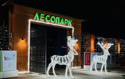 Лесопарк Рязани готовится к Новому году