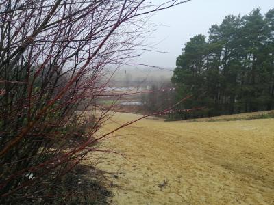 Мэрия Рязани не отказалась от планов благоустройства Лысой горы 