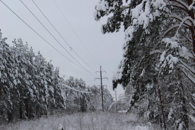Более 80 энергетиков «Рязаньэнерго» ликвидируют последствия стихии в Рязанской области
