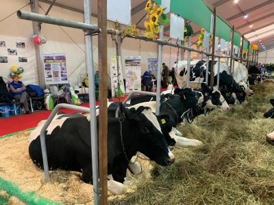 Рязанские аграрии удостоились 36 медалей на выставке «Золотая осень 2019»