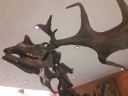 Image00053.jpg title=