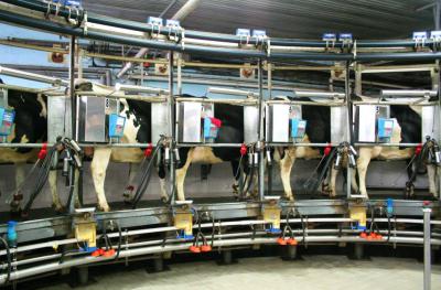 В Рязанской области посоревнуются мастера машинного доения