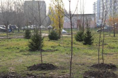 В Недостоево появился новый сквер