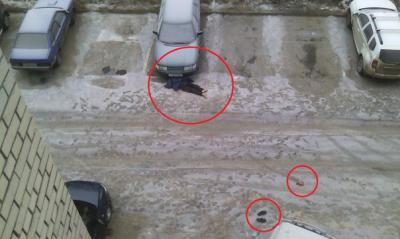 Фото сообщества «Криминальная Рязань»