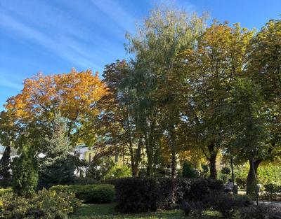 В рязанском регионе днём воздух потеплеет до 16 градусов