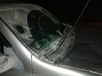 В Касимове внедорожник сбил мужчину, идущего по проезжей части