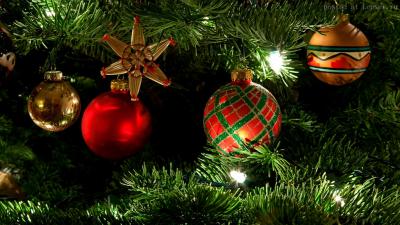 В новогодние праздники Банк России приглашает рязанцев на экскурсии