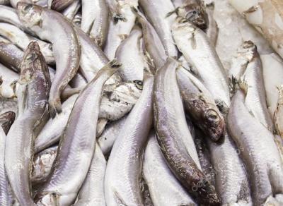 Рязанскую фирму оштрафовали за небезопасное производство рыбной продукции