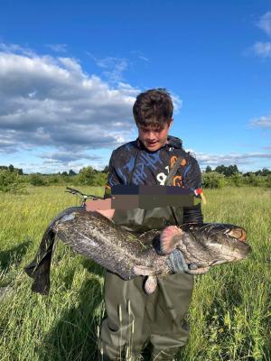 В Шиловском районе рыбак поймал увесистого сома